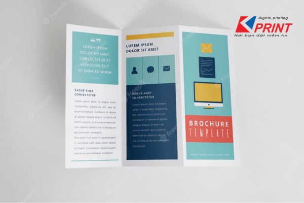 in brochure tp hcm