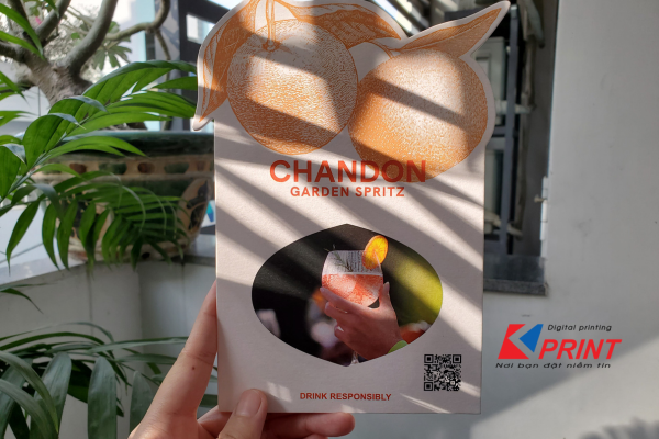in menu rẻ đẹp
